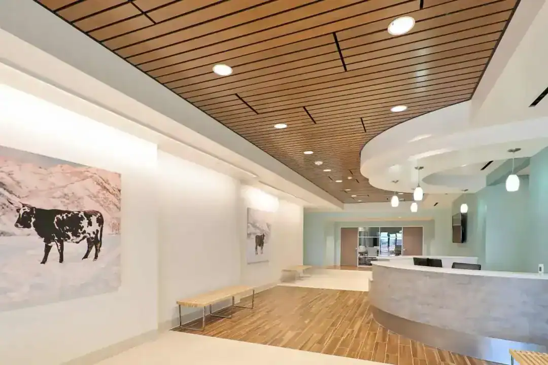 Fitout Project Management Brisbane